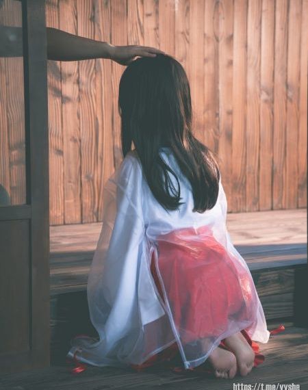 神马午夜视频_DVD高清免费观看
