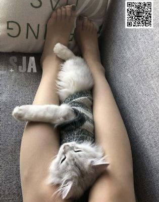 天堂8中文在线最新版官网_国产剧免费高清观看
